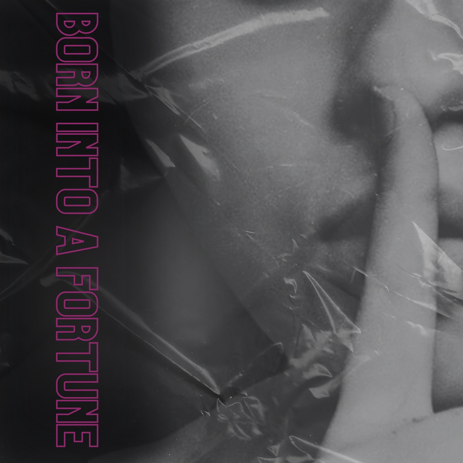 Born into a fortune cover